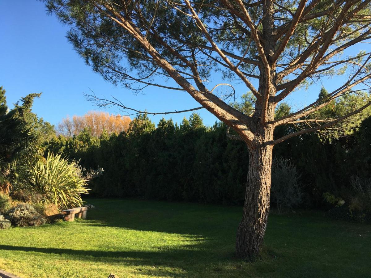 Mas De La Butte Blanche Bed & Breakfast Orgon Bagian luar foto