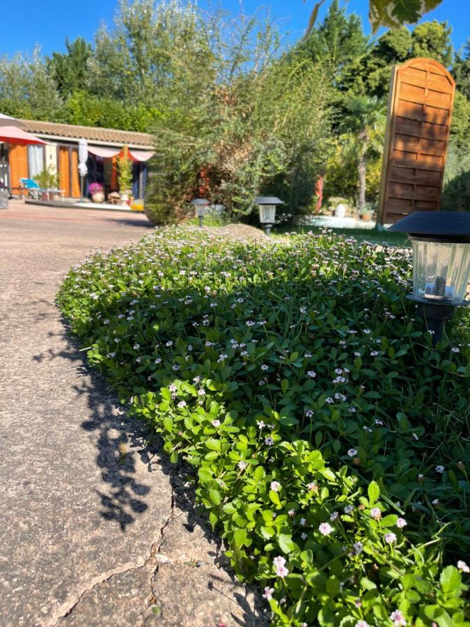 Mas De La Butte Blanche Bed & Breakfast Orgon Bagian luar foto